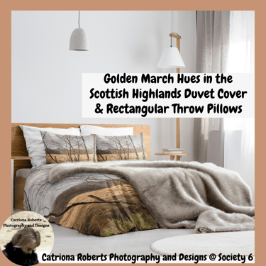 a bed with a blanket and pillows on it