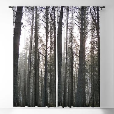 Scottish Highland's Pine Forest Misty Scene in Afterglow Blackout Curtain