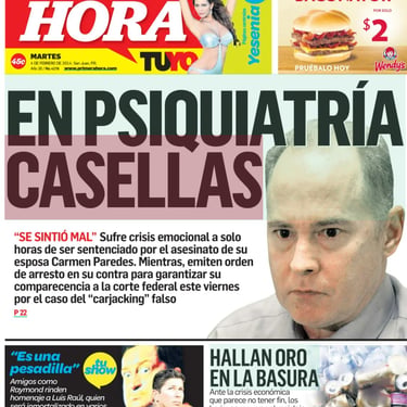20140204 PH - En Psiquiatria Casellas1.jpg