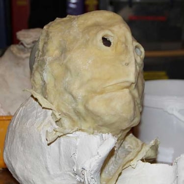 Tirage en latex du masque de tortue | Performance "Marée Haute" | Fabrication et photo David Noir