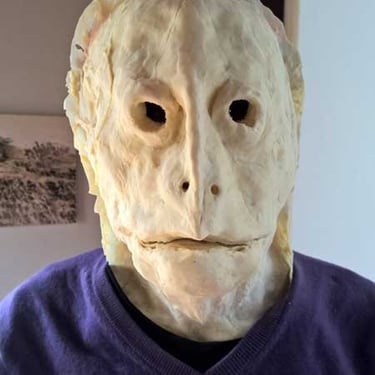 Essai du masque de tortue - face | Performance "Marée Haute" | Fabrication et photo David Noir