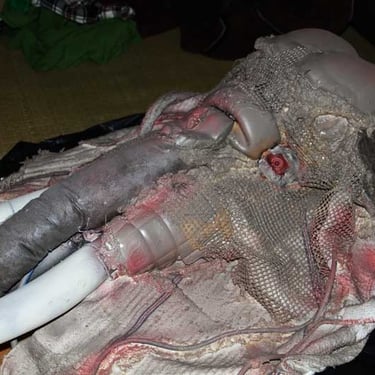 La tête du masque Ulin achevée | Photo : David Noir