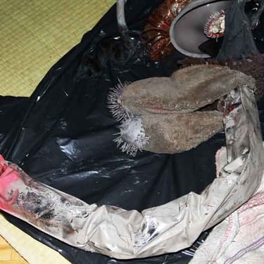 Le long sexe de la créature | Photo : David Noir