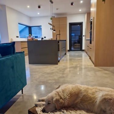 a dog laying on a rug in a room with polished concrete floor