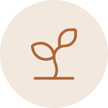 Icona pianta che cresce in un cerchio, simbolo di crescita e riequilibrio naturale