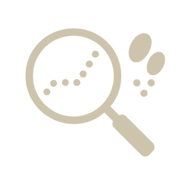 icone-traces-et-signes