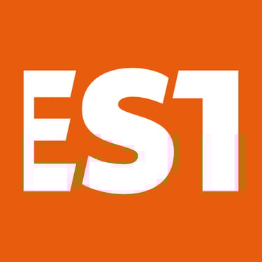 Close-up of wordmark detail. Letters E, S & T have a matching slant.