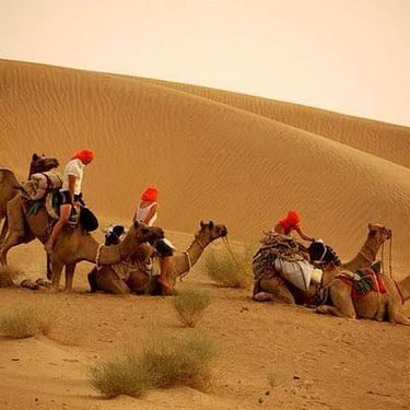 Camel safari, Jaisalmer