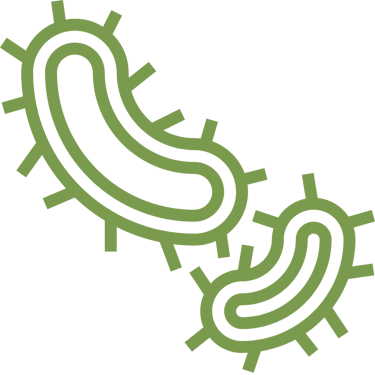 Dezechilibre ale microbiomului intestinal (disbioză)