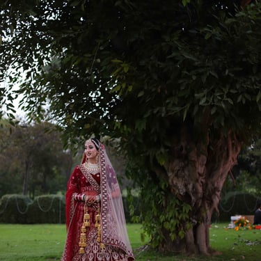 Wedding portrait of bride under a tree in garden setting