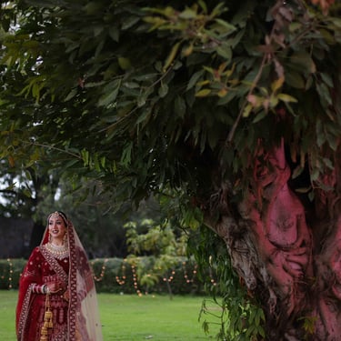 Bridal pose photography under a flowering tree