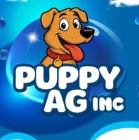 a puppyty dog sitting on a blue background with bubbles