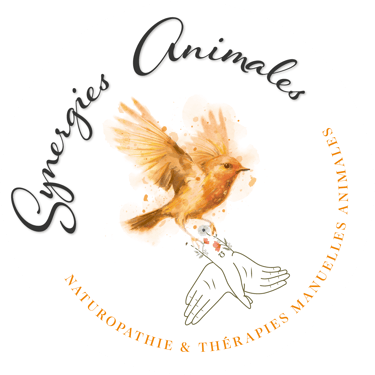 logo de l'entreprise synergies animales, représentant un rouge gorge, des mains et des coquelicots