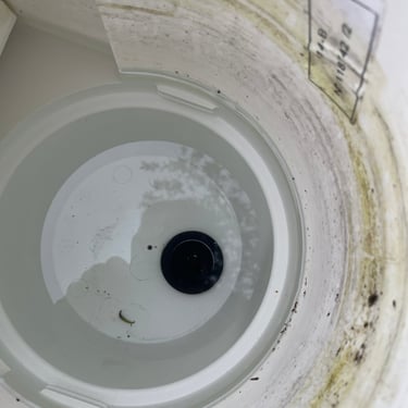 présence d'un bonchon dans un skimmer