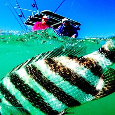 fishing-on-anna-maria-island-florida