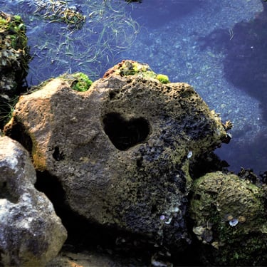 heart-rock-anna-maria-island