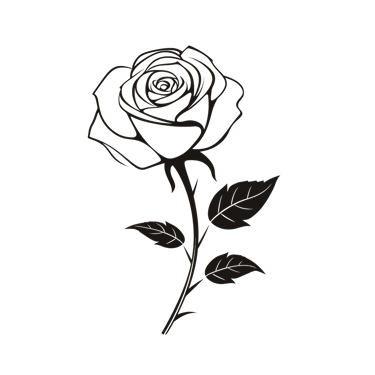 Rose black and white drawing