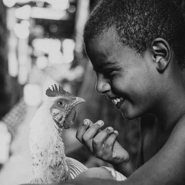 40 ft shipping container for sale 