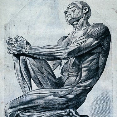 Alexander Lowen, Mémoire du corps, guérison en profondeur, se libérer du poids du passé