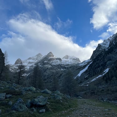 randonnée hivernale