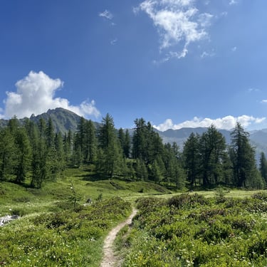 Randonnée au Boréon