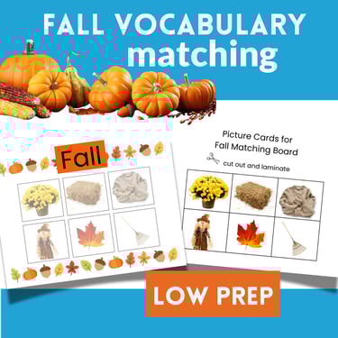 Preschool Fall Sorting Realistic and Graphic Images