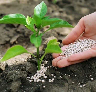 Fertilizers Packaging