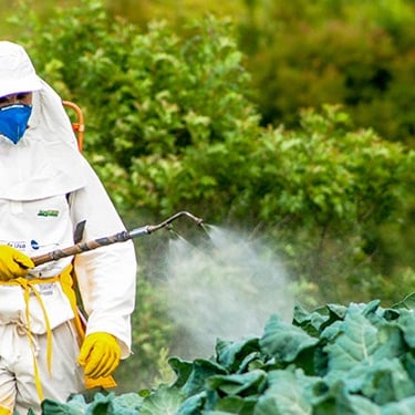 Pesticides Packaging