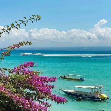 vue du lagon de Nusa Lembongan avec des fleurs au premier plan et vagues au large. On aperçoit aussi quelques bateaux.