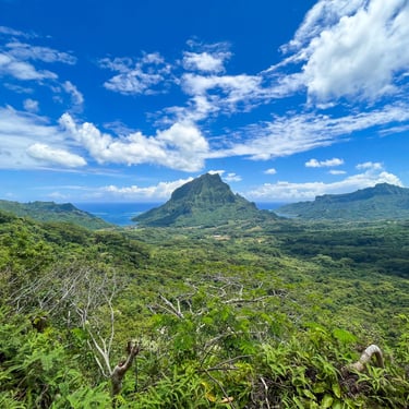 Vue panoramique sur la forêt verdoyante de Moorea
