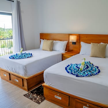 Xeliter Green One  Playa Dorada studio