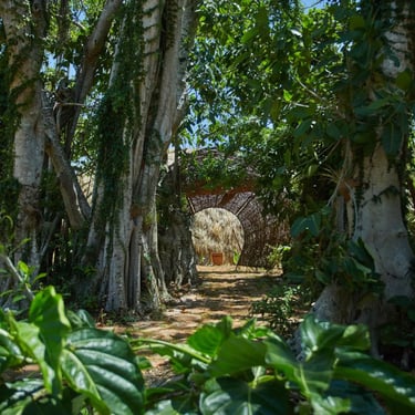 cayo levantado resort walking