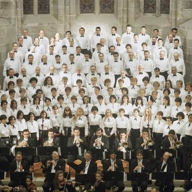 medieval 1999-coral-114