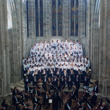 medieval 1999-coral-116