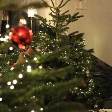 Marriot Kalėdinis restorano dekoravimas kalėdomscijos eglutės