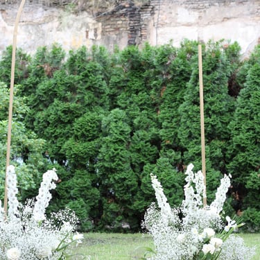 Žalios vestuvės su auksu vestuvių dekoratorė floristė vestuvių floristikos paslaugos vestuvių arka foto zona unfinished arka