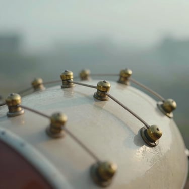 Macro close-up of a dilruba bow touching brass strings, soft diffused morning light, shallow depth of field, 35mm