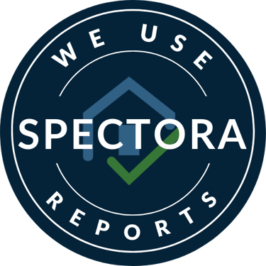 Check out what Spectora is and how it works!