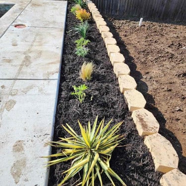 Newly landscaped garden bed with plants.