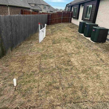 Backyard side yard for landscaping.