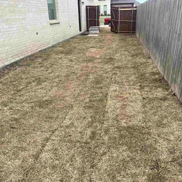 Side yard with patchy grass and wooden fence.