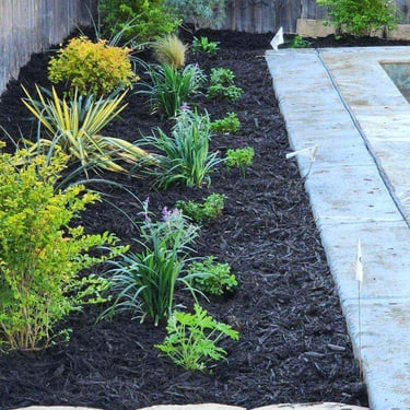 Flowerbed near Concrete Slab