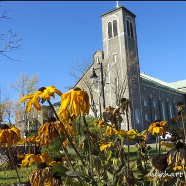 La Tuque, église, fleurs