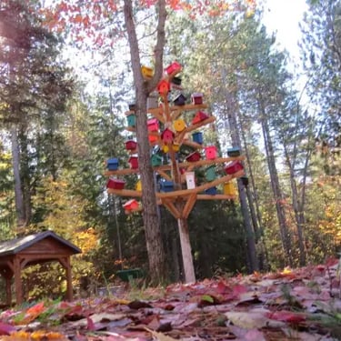 La Tuque, cabane oiseaux, automne