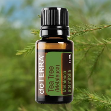 a bottle of tea tree essential oil