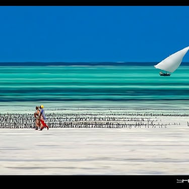 un voilier naviguant sur l'océan. crédit photo Steve Rych