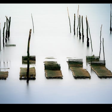 une rangée de planches de bois et casiers d'huitres  dans l'eau