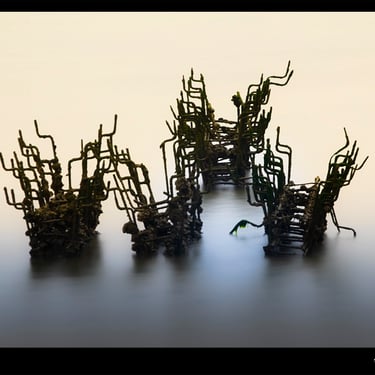 un groupe de chaises survolées par un oiseau
