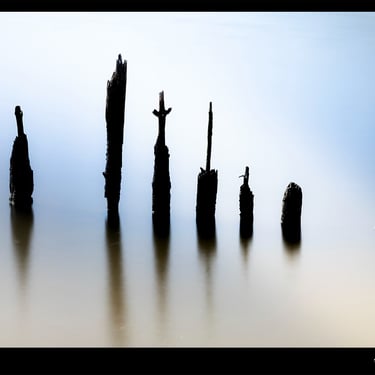 une photo en pose longue représentant un groupe de poteaux en bois dans l'eau