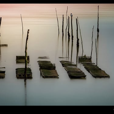 une rangée de piquets de bois et sacs d'huitres dans l'eau du bassin d'Arcachon             